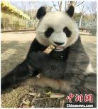 熊猫户外主播有哪些
